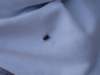 HWK 2009 148_small.jpg